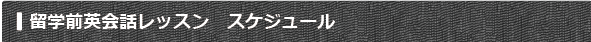 留学前英会話レッスン スケジュール