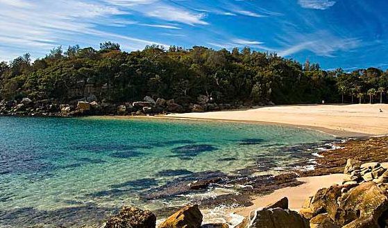 shelly beach