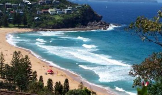 whalebeach